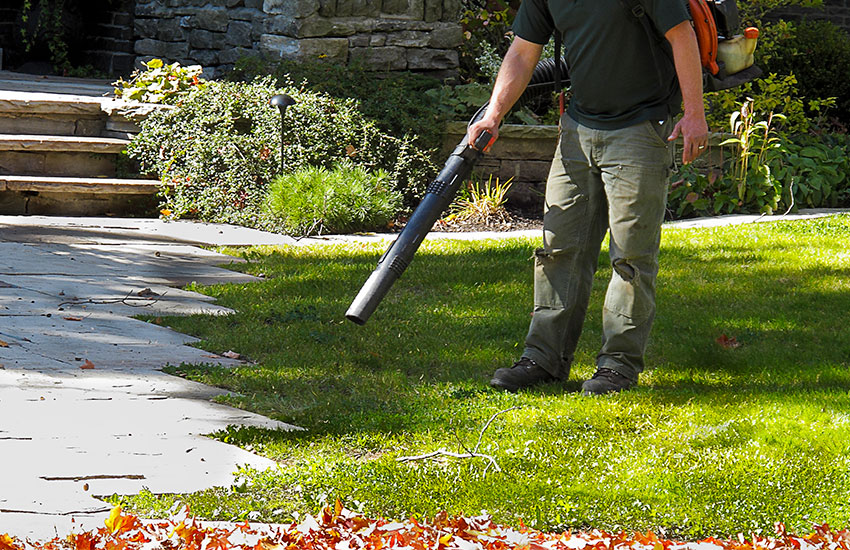 Landscaping Maintenance Services