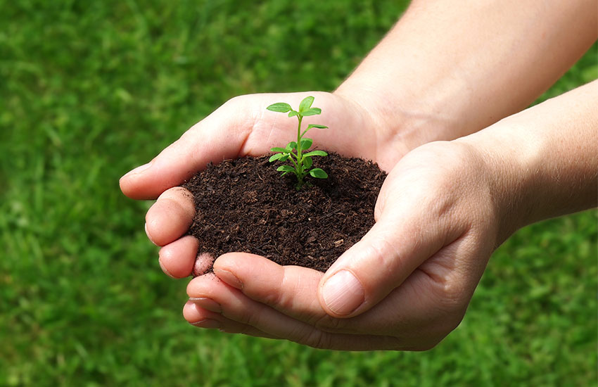 Disease Control Services