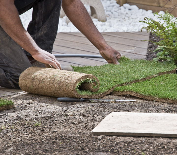 Lawn Installation Services