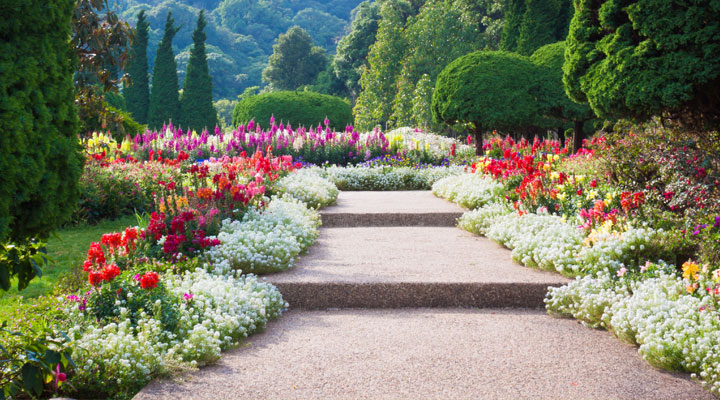 Flower Bed Maintenance, Weeding, Mulching, Edging & Pruning