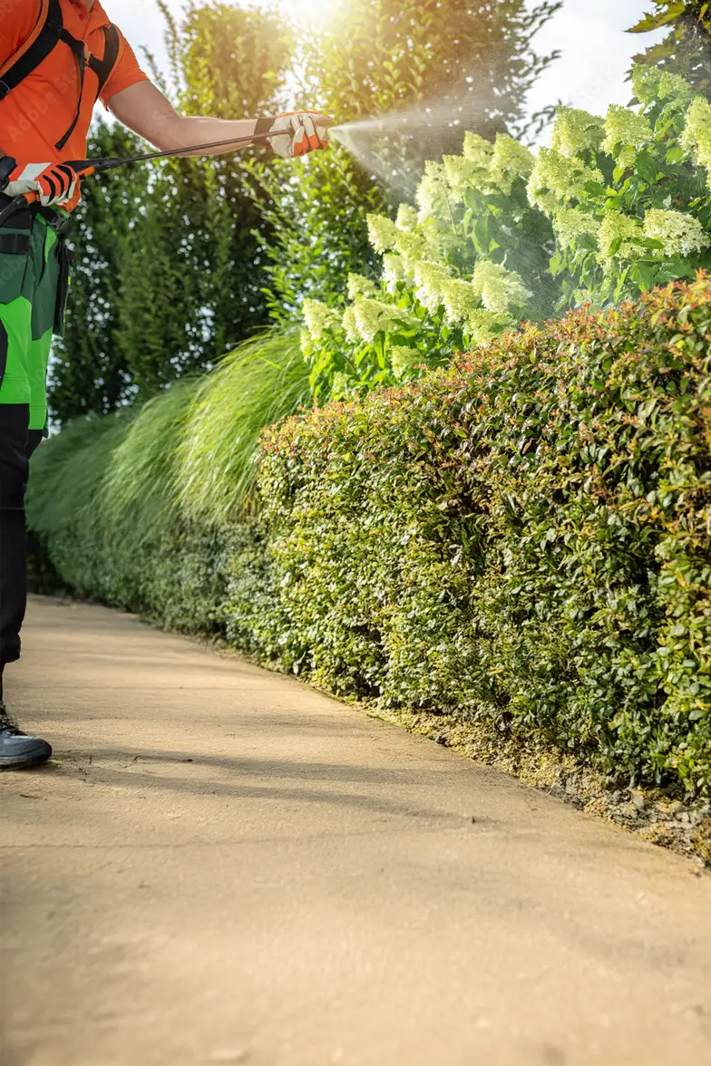 Tree and Shrub Care Programs